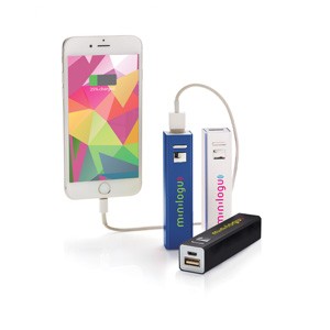 Backup Batterie schwarz