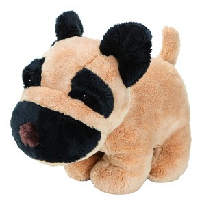 Spürnase Boxer Lenni