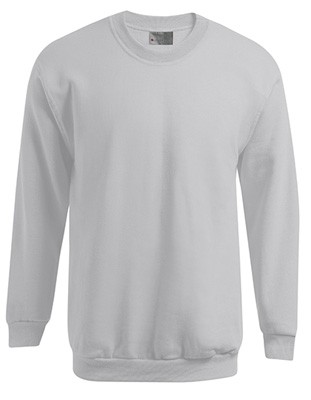 Men`s Sweater 100 Ash
