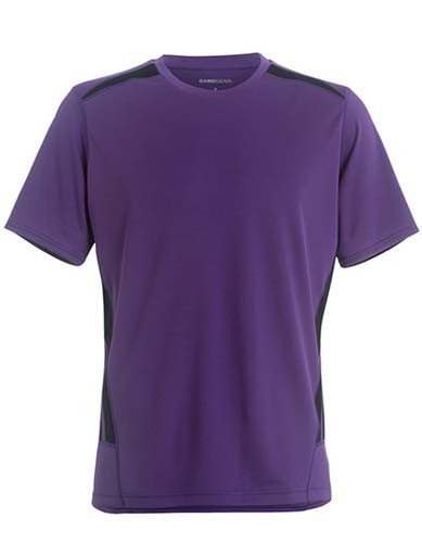 L-K930 Regular Fit Training T-Shirt_Purple_Navy
