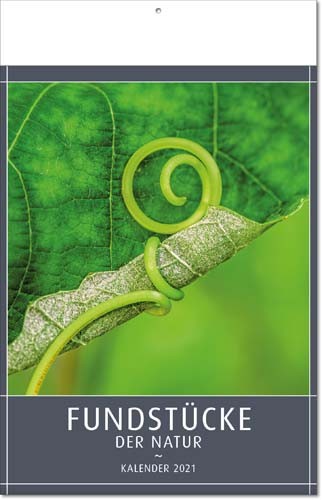 Bildkalender deutsch FUNDSTÜCKE DER NATUR mit Klappfälzel
