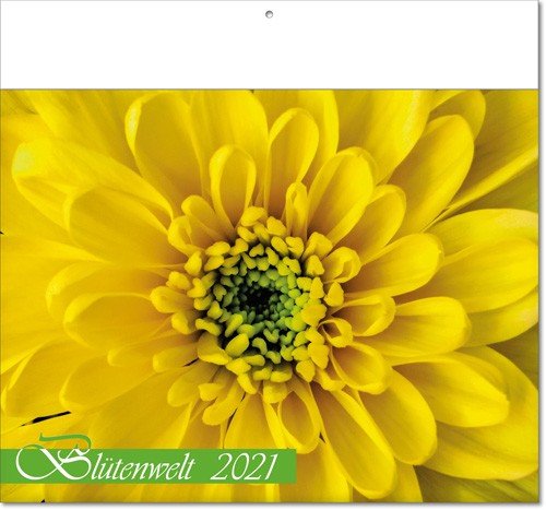 Bildkalender deutsch BLÜTENWELT mit Klappfälze