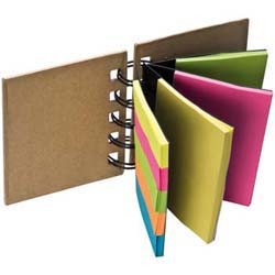 Mac-28865 Kleines Ringbuch mit Haftnotizen