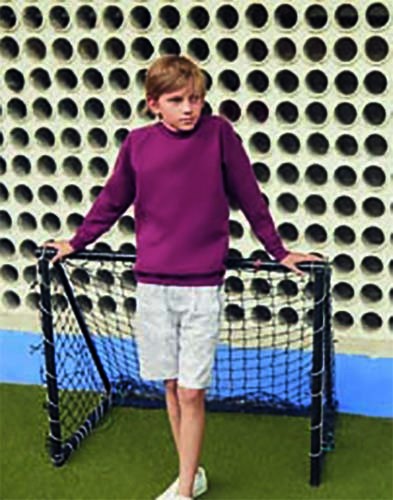 Kids Classic Raglan Sweat