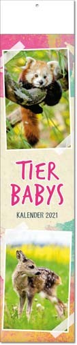 Streifebkalender deutsch TIERBABYS mit Klappfälzel