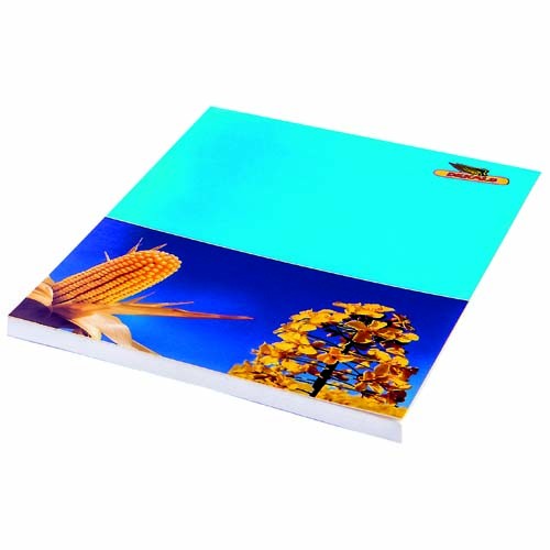 Schreibblock DIN A4 | Papier 80g/m² holzfrei weiß Offset