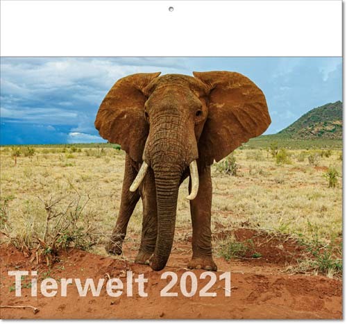Bildkalender deutsch TIERWELT mit Klappfälzel