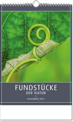 Bildkalender FUNDSTÜCKE DER NATUR mit Wire-O